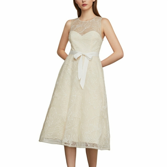 BCBGMaxAzria Dresses & Skirts - BCBGMAXAZRIA Embroidered Illusion Dress